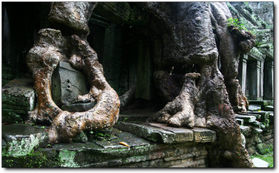 Angkor 104.jpg