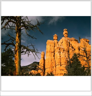 Bryce Canyon 10.jpg