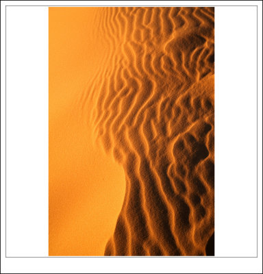 Coral Pink Sand Dunes 7.jpg