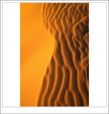 Coral Pink Sand Dunes 8.jpg