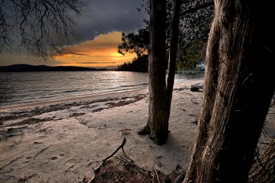 DSC_0093_B&D1.jpg
