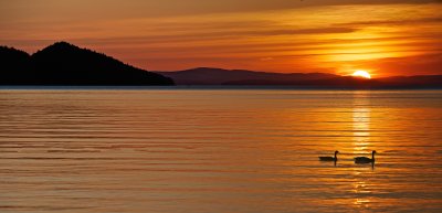DSC_0652a.jpg