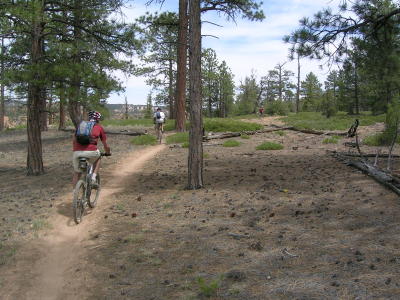 SingleTrackOnCassidy