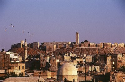 A Panormaic View of the Aleppo Citadel from Dar Zamaria Roof