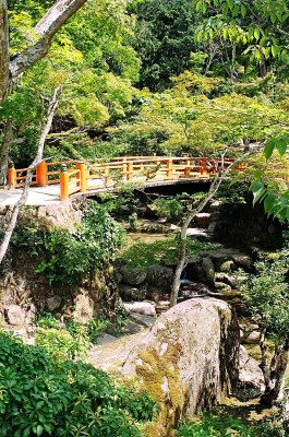 The Beauty of the Japanese Nature- Momijidani Park