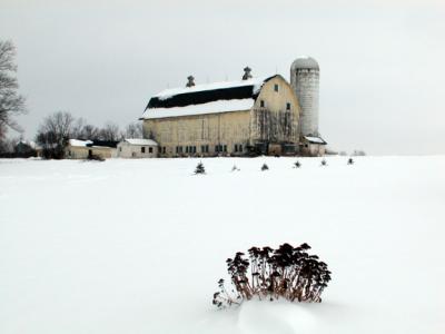 winter in the heart of New York's Amish Country. . .