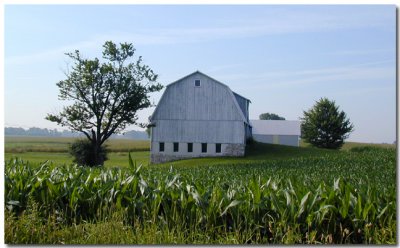 knee high by the fourth of july...