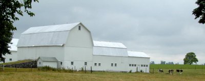 pure white barn...