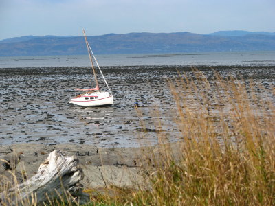  mare basse...dans Kamouraska