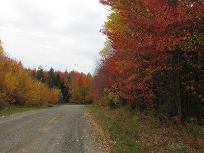 Sixime rang de Ste-Eulalie