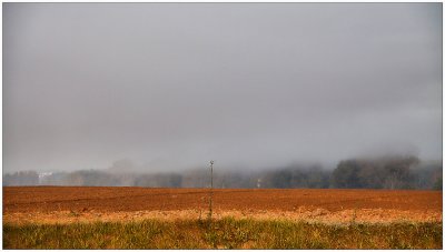 Rambouillet 2011