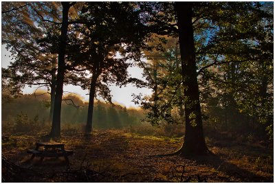 Rambouillet 2011