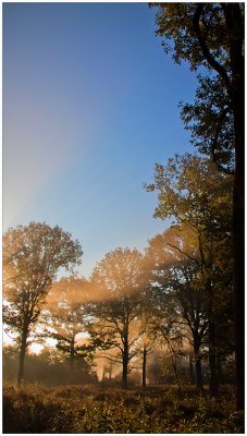 Rambouillet 2011