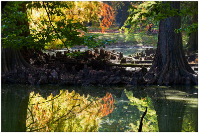 Rambouillet 2011