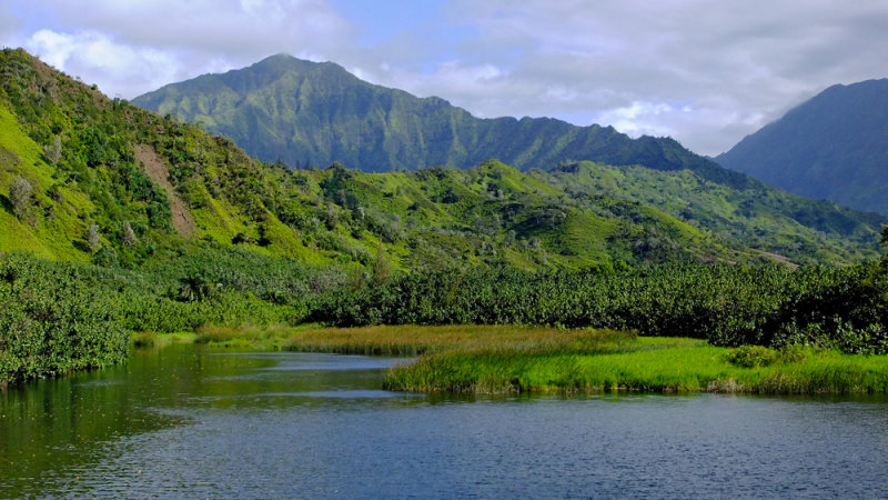 Hanalei Valley and Area