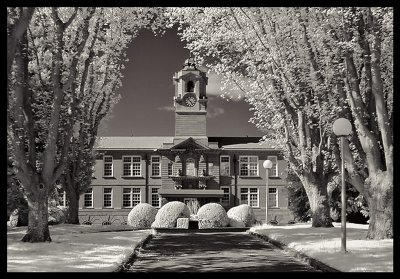 The Infrared Campus