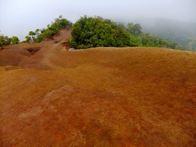 Near Pu'u o Kila Lookout