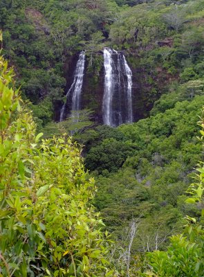 Opaeka'a Falls    