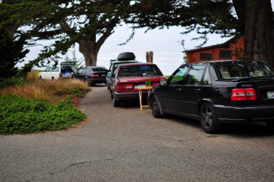 DSC_1491.JPG