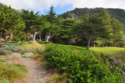 DSC_1520.JPG