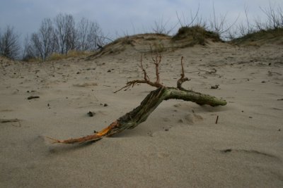 Zeepeduinen, Haamstede