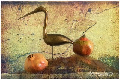pomegranate and the sacred ibis