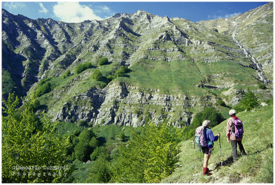 in search of the waterfall