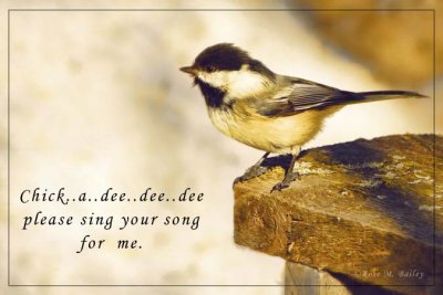 Chickadee Sing A Song For Me