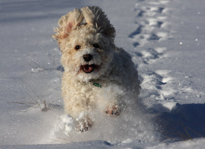Happy As Can Be!