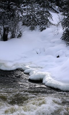 Reflections of Warmth