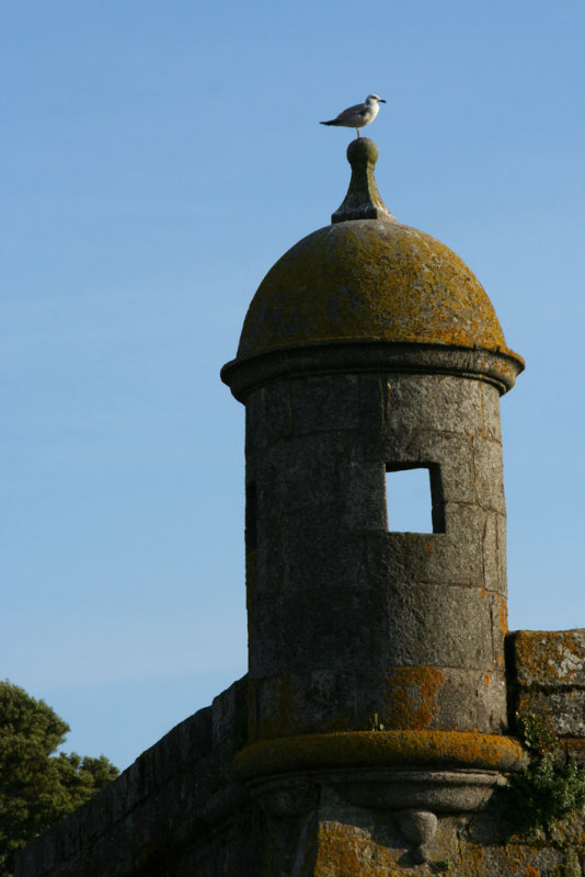 Viana do Castelo