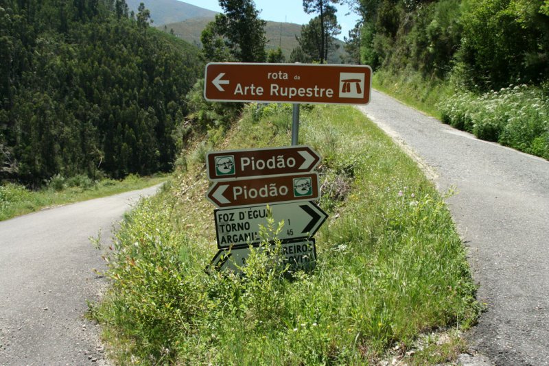 to Piodo please