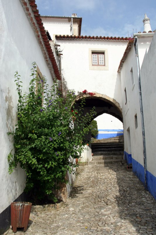 bidos