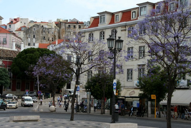 Lisbon