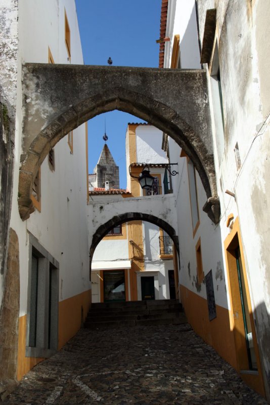 vora