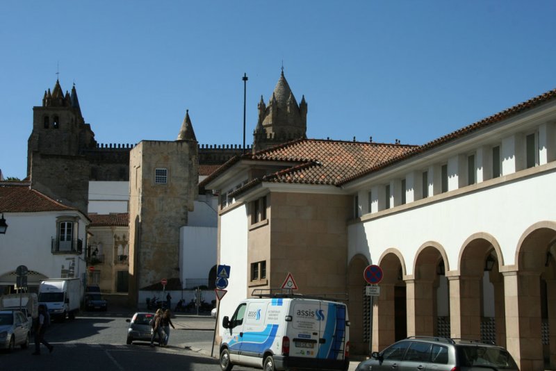 vora