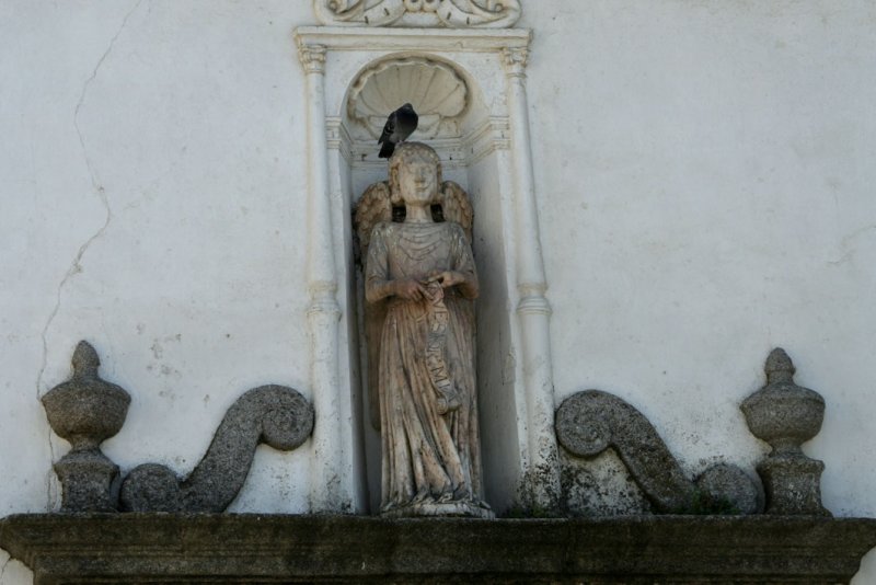 vora