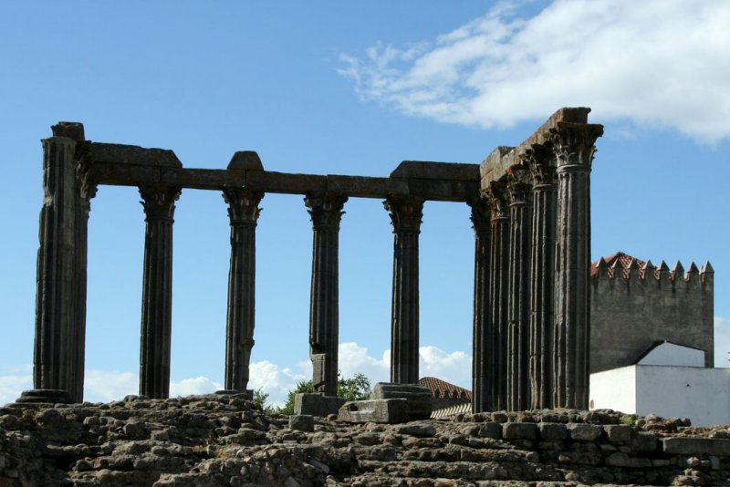 vora