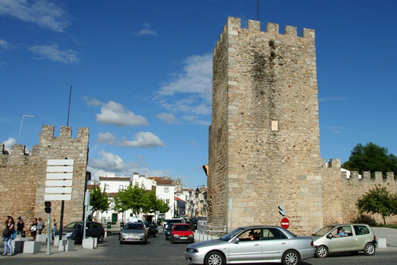 vora