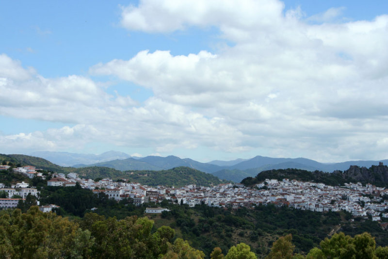 Gaucn
