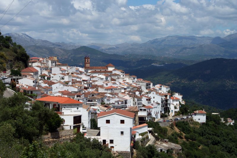 Algatocn