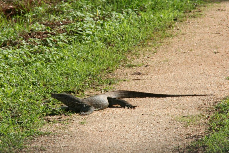 Wasgomuwa National Park