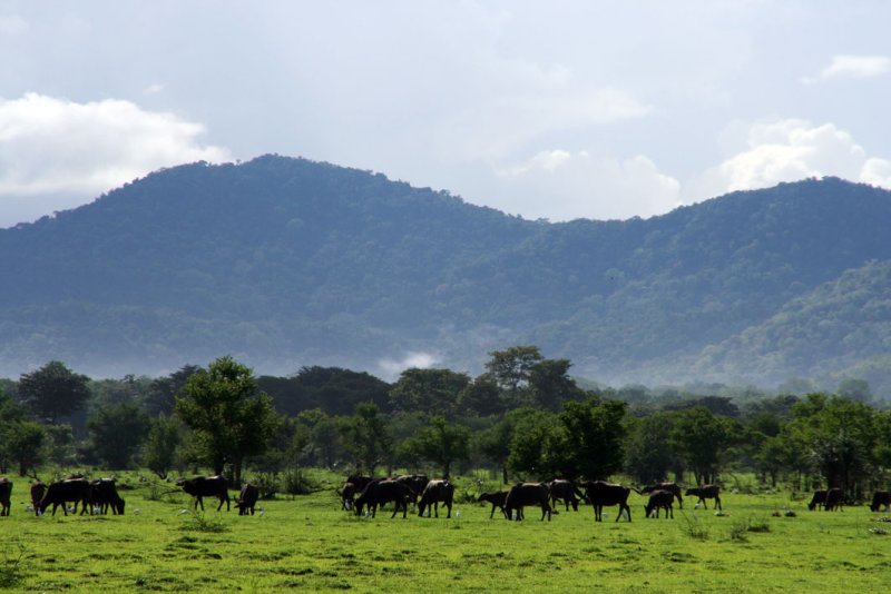 Wasgomuwa National Park