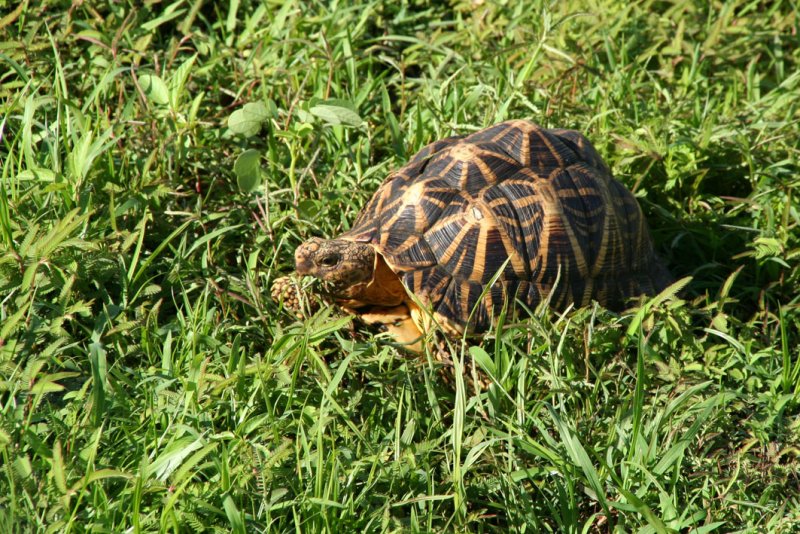 Wasgomuwa National Park