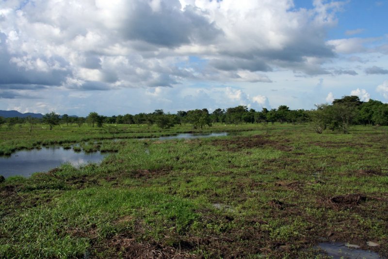 Wasgomuwa National Park