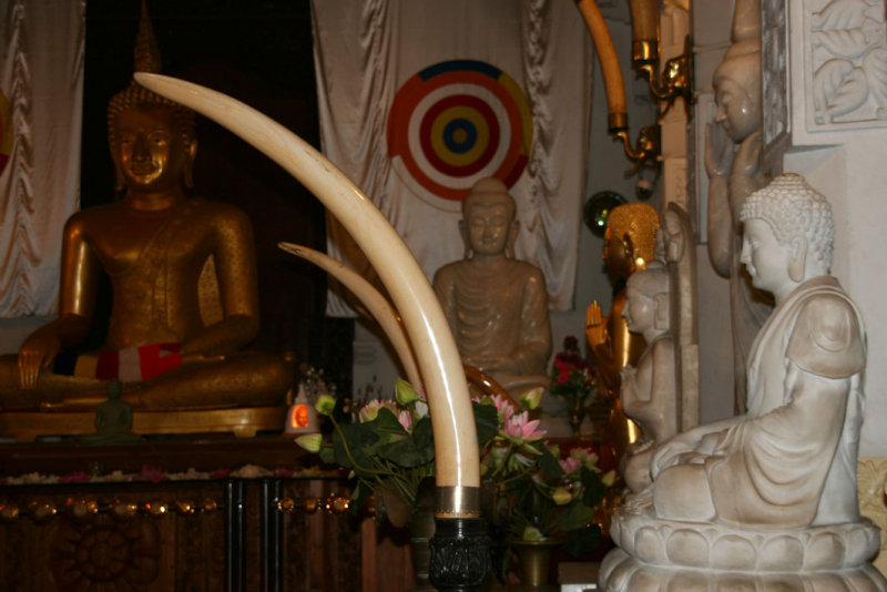 Kandy - Temple of the Sacred Tooth Relic