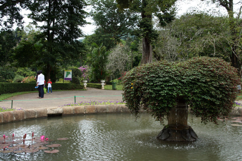 Kandy - Botanical Garden