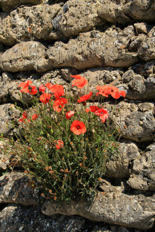 Diksmuide - Trenches of Death