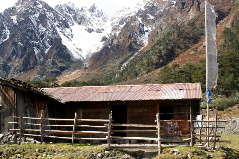 Yumtang Valley - coffee and tea
