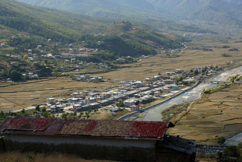 Paro